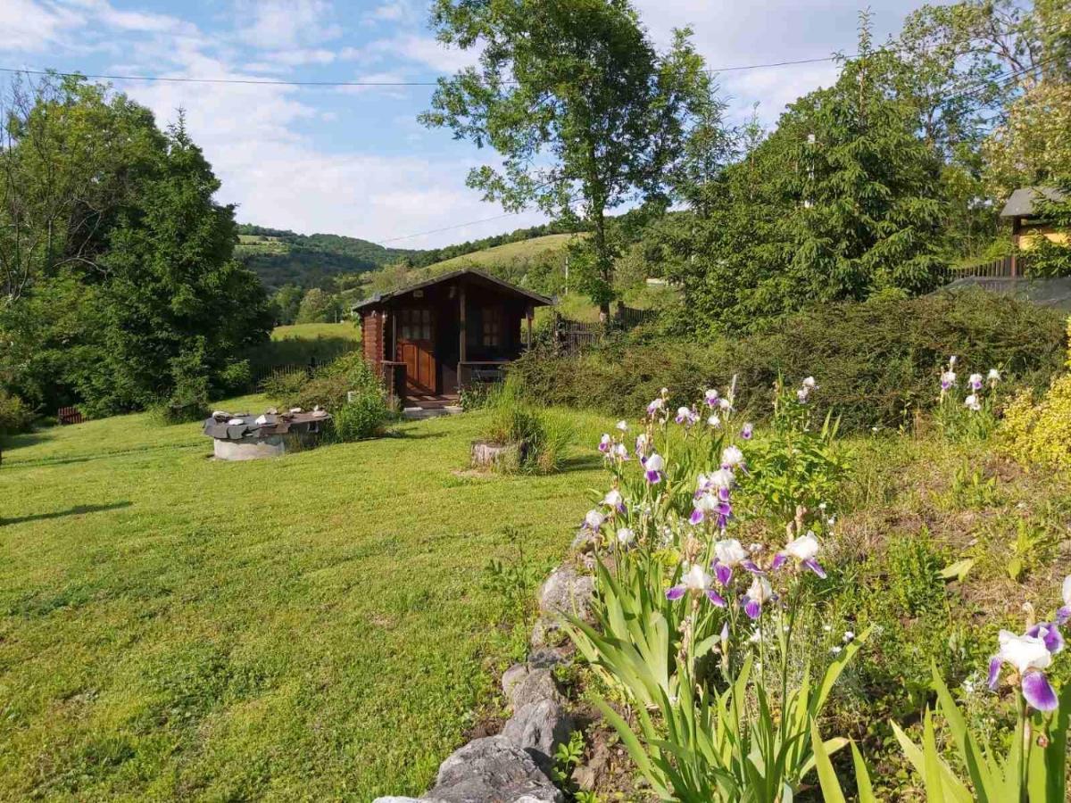 Bungalow Camping Edelweiss - Floare De Colt - Gyopar Rimetea Buitenkant foto