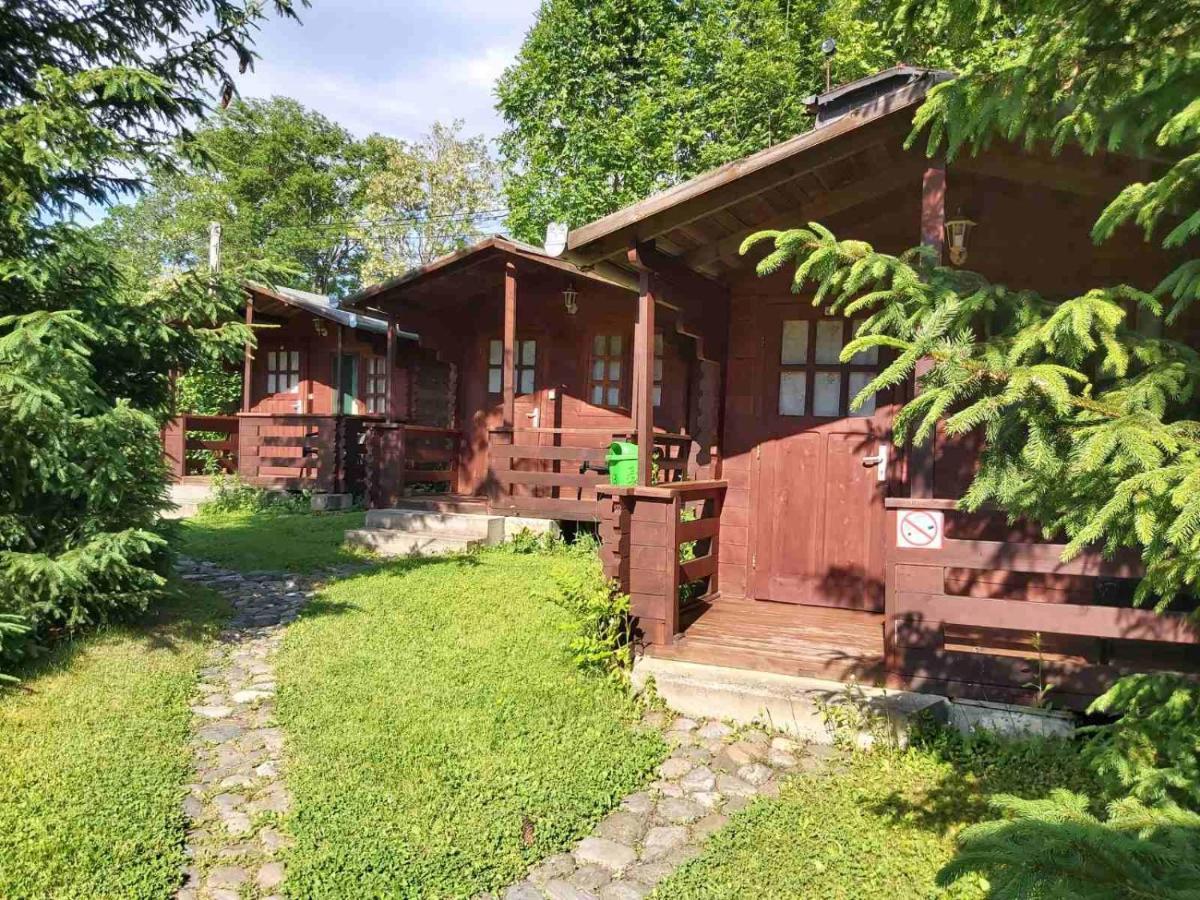 Bungalow Camping Edelweiss - Floare De Colt - Gyopar Rimetea Buitenkant foto