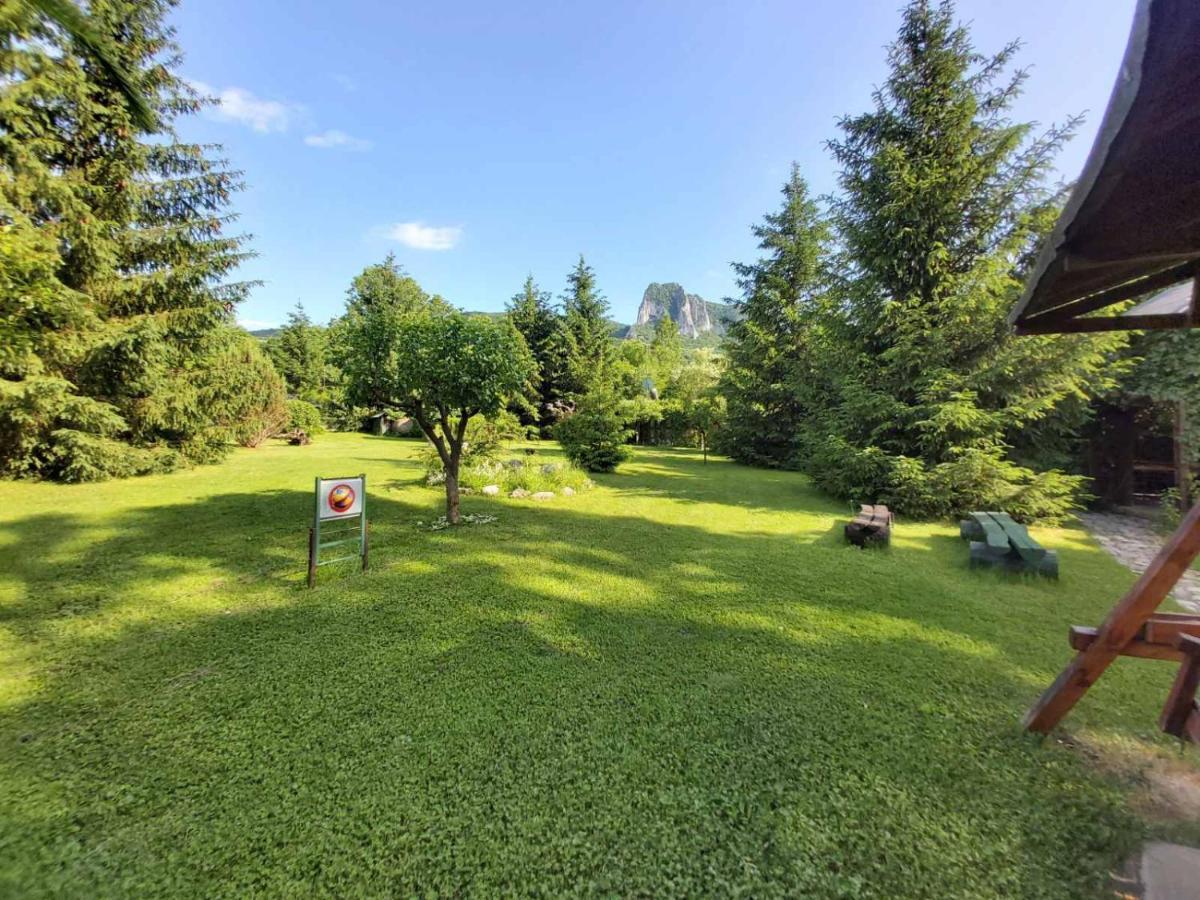 Bungalow Camping Edelweiss - Floare De Colt - Gyopar Rimetea Buitenkant foto